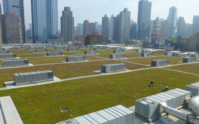 Big Convention Center Gets a Big Green Roof