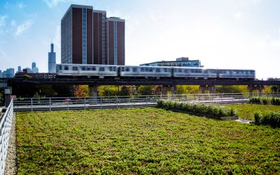 Green Roof Profile: Chicago Bulls Practice Facility