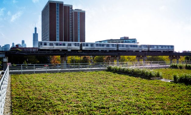 Green Roof Profile: Chicago Bulls Practice Facility