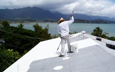 Cool Roofing: Reflective v. Planted