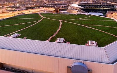 Wind and Fire Standards for Living Roofs