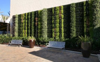 Green Walls, A Different Direction