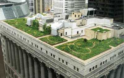 Green Rooftops