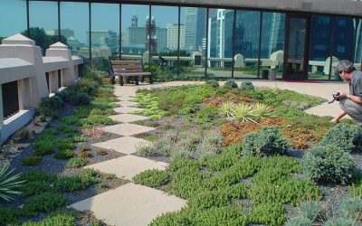 Green Roof as a Retrofit Option