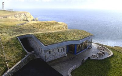 Sloped Green Roofs