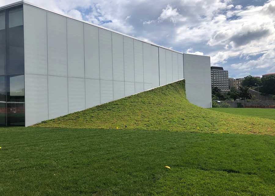 Pushing the Envelope: Steeply Sloped Green Roofs